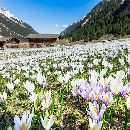 Tatil Evi Hochkrimml With Sauna On The Slope