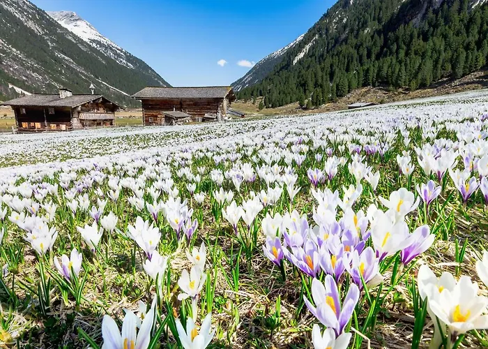 Tatil Evi Hochkrimml With Sauna On The Slope